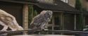 PF-Potterish_00865.jpg