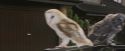 PF-Potterish_00866.jpg