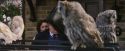 PF-Potterish_00874.jpg
