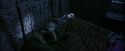 PF-Potterish_01062.jpg