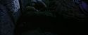 PF-Potterish_01066.jpg
