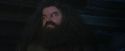 PF-Potterish_01162.jpg