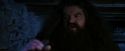 PF-Potterish_01170.jpg