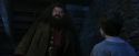 PF-Potterish_01208.jpg