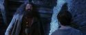 PF-Potterish_01233.jpg