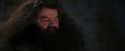 PF-Potterish_01273.jpg