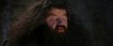 PF-Potterish_01274.jpg