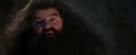 PF-Potterish_01275.jpg