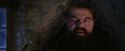 PF-Potterish_01284.jpg