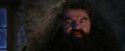 PF-Potterish_01286.jpg