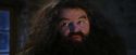 PF-Potterish_01290.jpg