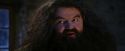 PF-Potterish_01291.jpg