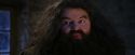PF-Potterish_01297.jpg