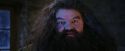 PF-Potterish_01298.jpg