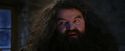 PF-Potterish_01299.jpg