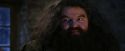 PF-Potterish_01312.jpg