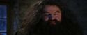 PF-Potterish_01313.jpg