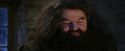 PF-Potterish_01314.jpg