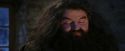 PF-Potterish_01315.jpg