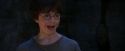 PF-Potterish_01316.jpg