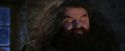 PF-Potterish_01320.jpg