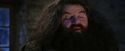PF-Potterish_01321.jpg