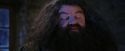 PF-Potterish_01322.jpg