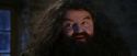 PF-Potterish_01323.jpg