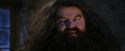 PF-Potterish_01325.jpg