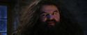 PF-Potterish_01327.jpg