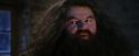 PF-Potterish_01328.jpg