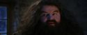 PF-Potterish_01329.jpg