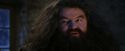 PF-Potterish_01330.jpg