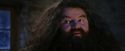 PF-Potterish_01335.jpg