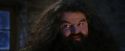 PF-Potterish_01336.jpg