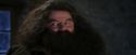 PF-Potterish_01337.jpg