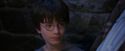 PF-Potterish_01432.jpg