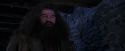 PF-Potterish_01440.jpg