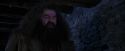 PF-Potterish_01441.jpg