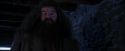 PF-Potterish_01457.jpg