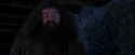 PF-Potterish_01458.jpg