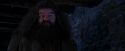 PF-Potterish_01459.jpg