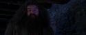 PF-Potterish_01460.jpg