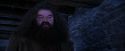 PF-Potterish_01480.jpg
