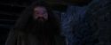 PF-Potterish_01481.jpg