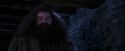 PF-Potterish_01483.jpg