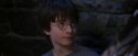 PF-Potterish_01487.jpg