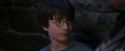 PF-Potterish_01488.jpg