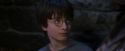 PF-Potterish_01489.jpg