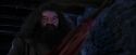 PF-Potterish_01491.jpg